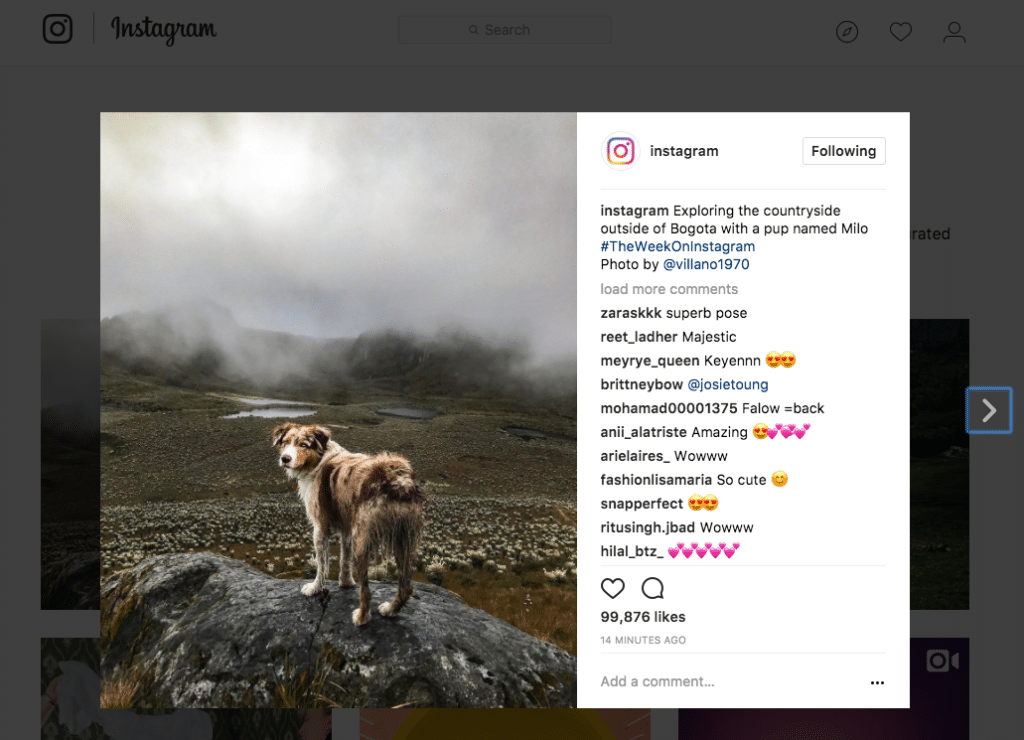 צילום מסך מאינסטגרם